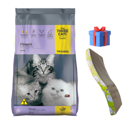 Three cats kitten ori1