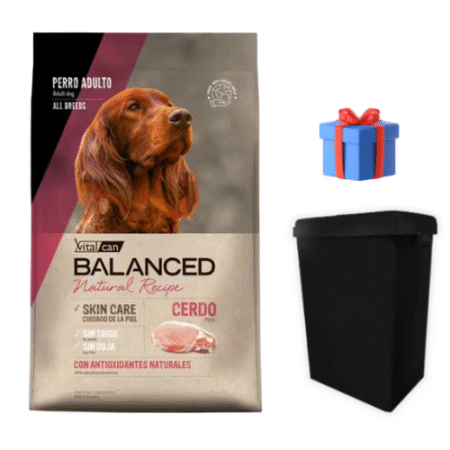 Balanced Natural Recipe Cerdo 15 kg + Contenedor