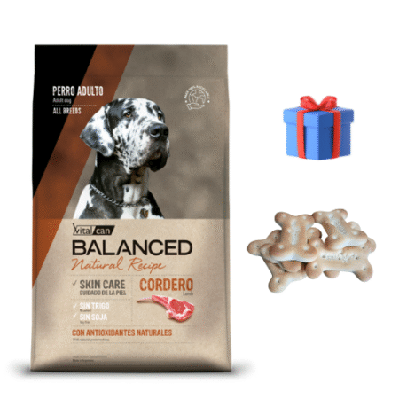 Balanced Natural Recipe Perro Cordero 15 kg + Snacks