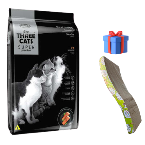 Three catssamón3