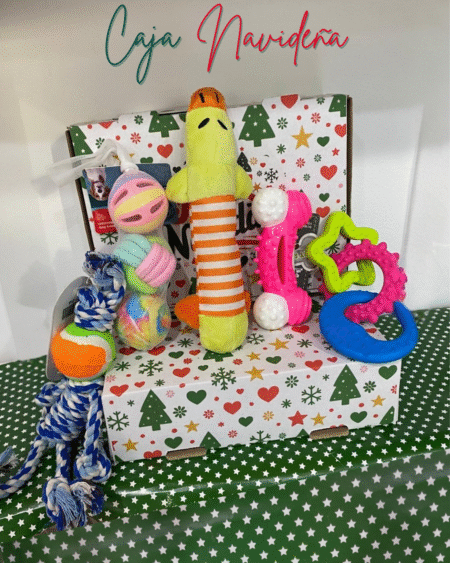 Caja Navideña N°5: Perro Juguetes 🎅🏼🎄