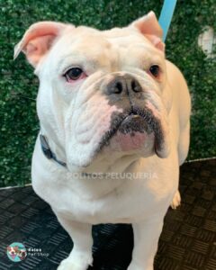 WhatsApp Image 2026-01-25 at 12.14.50