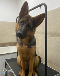 WhatsApp Image 2026-01-25 at 12.14.51