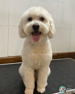 WhatsApp Image 2026-01-25 at 12.14.52