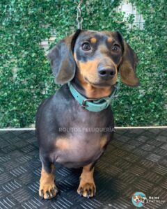 WhatsApp Image 2026-01-25 at 12.14.52 (3)