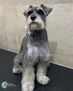 WhatsApp Image 2026-01-25 at 12.14.53