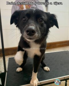 WhatsApp Image 2026-01-25 at 12.14.55