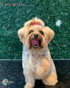 WhatsApp Image 2026-01-25 at 12.14.56