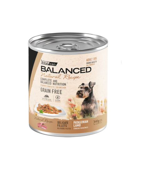 Salsa NATURAL RECIPE Filetes de Cordero perro adulto - 340G