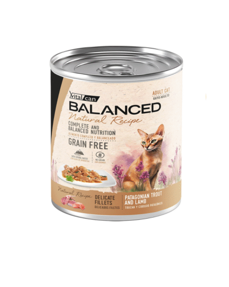 Salsa NATURAL RECIPE Filetes de trucha y cordero gato adulto - 340g