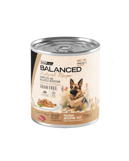 Salsa NATURAL RECIPE Filetes de Carne perro adulto - 340G