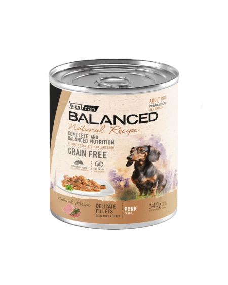 Salsa NATURAL RECIPE Filetes de Cerdo Perro adulto - 340G