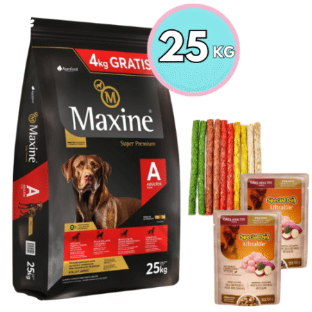 Maxine Perro Adulto 21kg + 4kg + Regalo 🎁