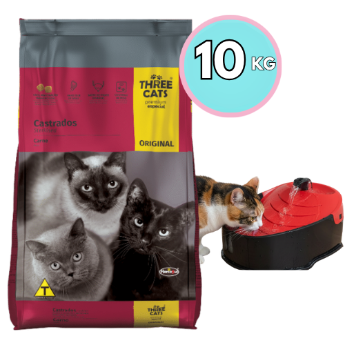 Three cats bebedero ori2