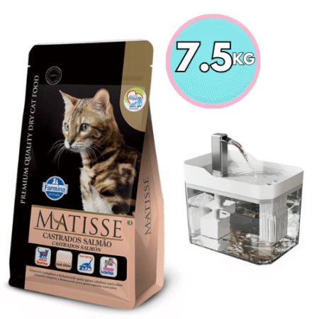 Matisse Gato Castrado Salmón 7.5kg + Bebedero tipo fuente