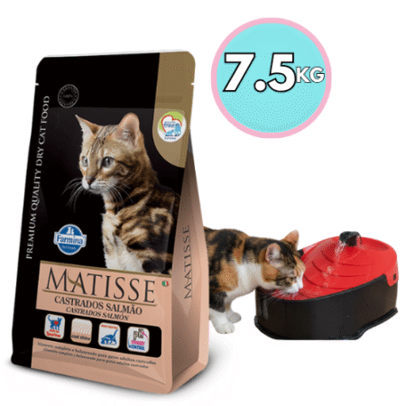 Matisse Gato Castrado Salmón 7.5kg + Bebedero tipo fuente